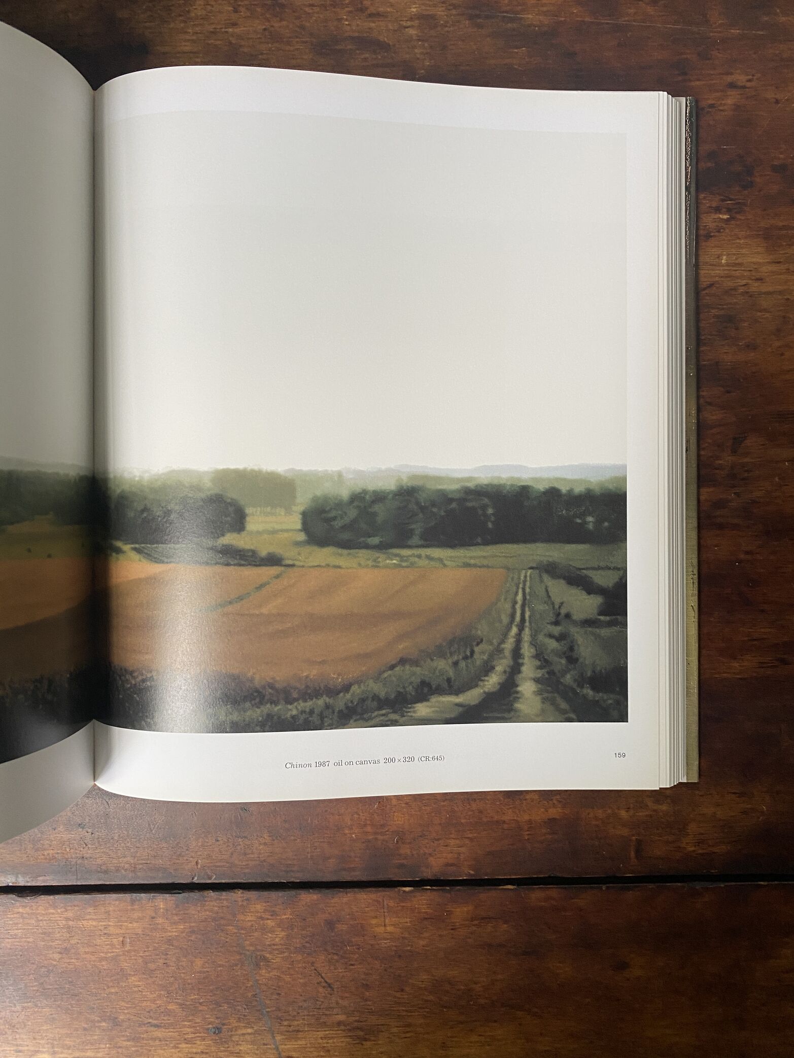 Gerhard Richter – Panorama