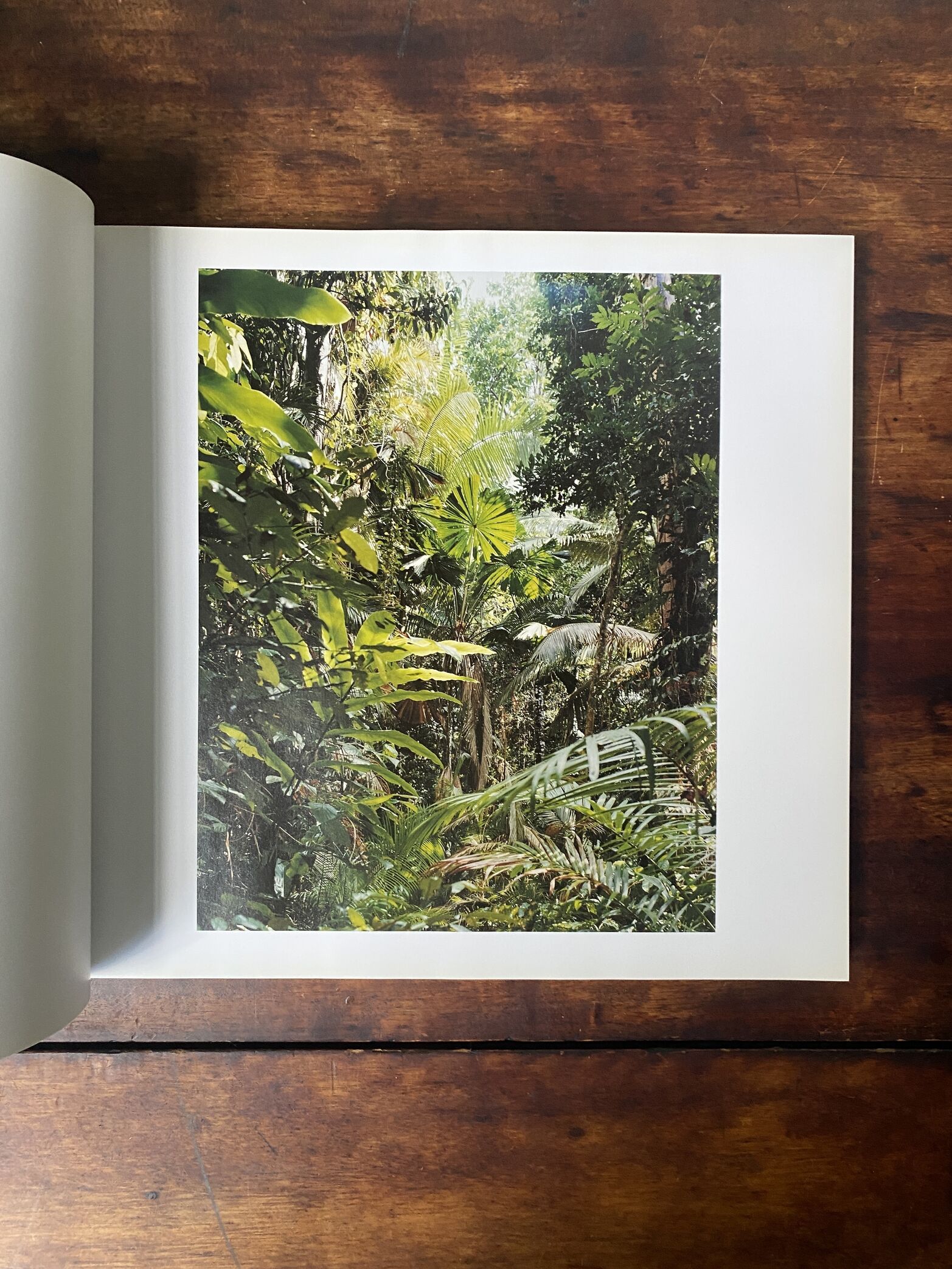 Thomas Struth - 1977-2022