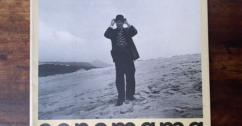 Taishi Hirokawa – Sonomama Sonomama